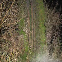 img_1863.jpg