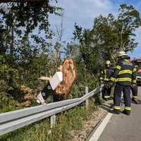 PXL_20240903_150458887.MP.jpg