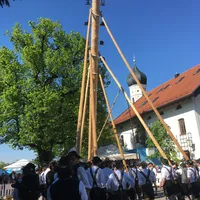 Maibaum 2.jpg