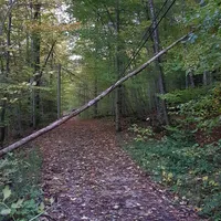 20231027_181045.jpg